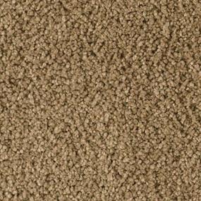 Textured Saxony Peyote Brown Carpet