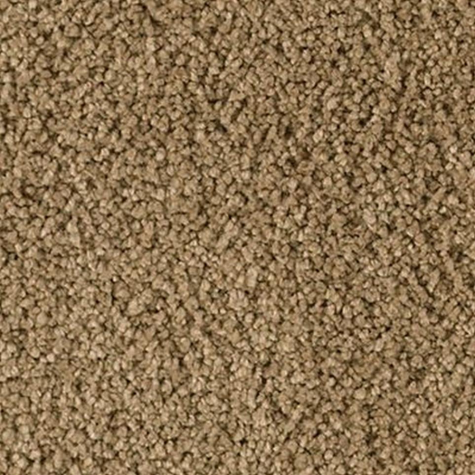 Textured Saxony Peyote Brown Carpet