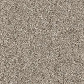 Textured Saxony Global Beige/Tan Carpet