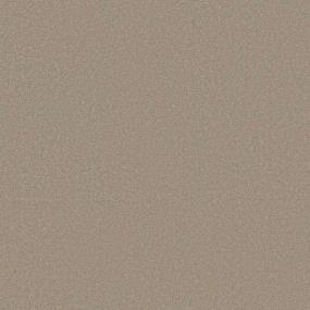 Textured Saxony Sand Paper Beige/Tan Carpet