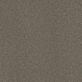 Texture Gallant Brown Carpet