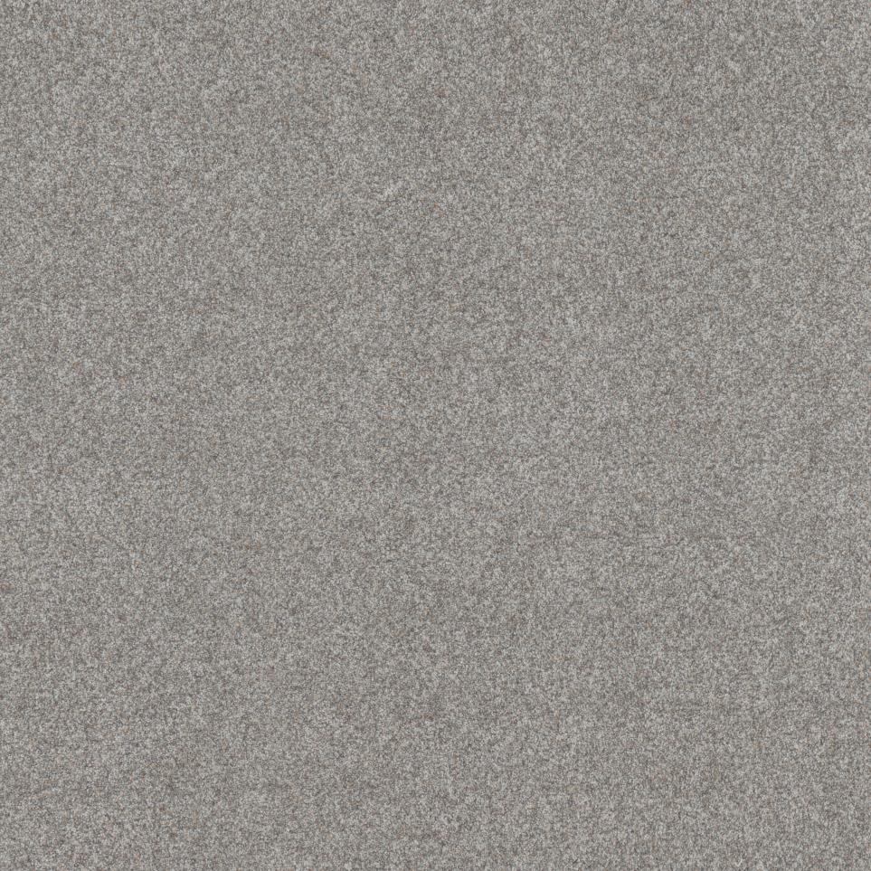 Textured Saxony Majesty Beige/Tan Carpet