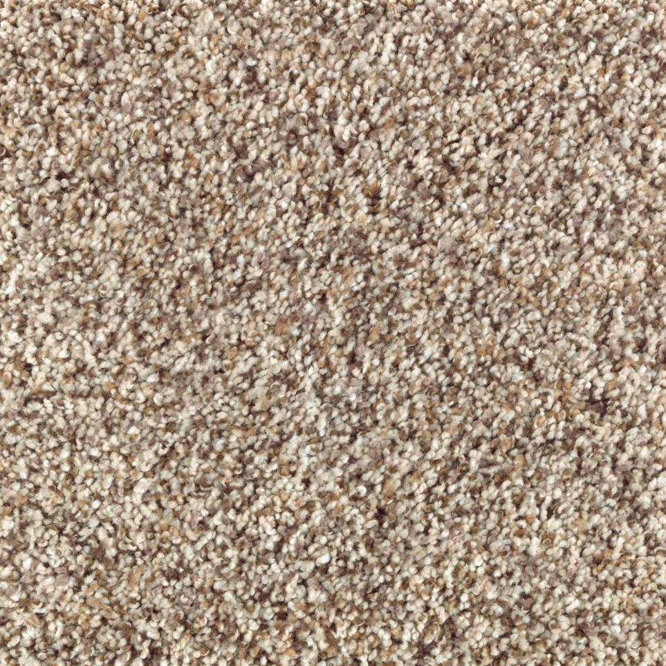 Texture Stellar Beige/Tan Carpet