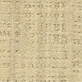 Pattern Granite Beige/Tan Carpet
