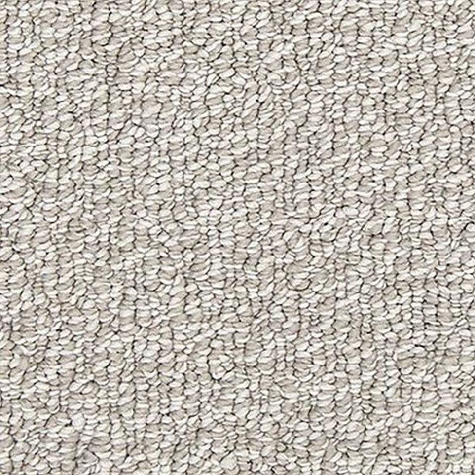 Loop Delmar Gray Carpet