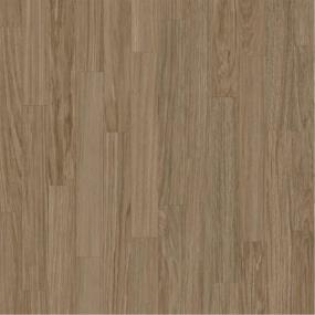 Plank Desert Sand Medium Finish Vinyl