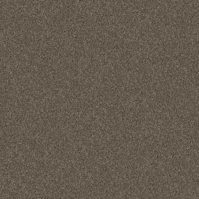 Casual Texture Thatch Brown Carpet