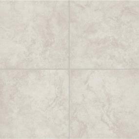 Tile Ivory Matte White Tile