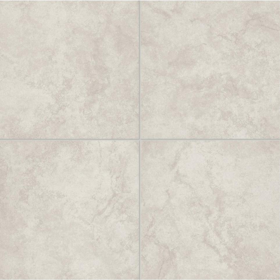 Tile Ivory Matte White Tile