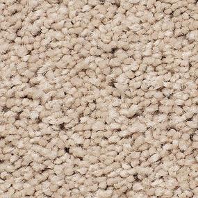 Textured Saxony FROSTED HONEY Beige/Tan Carpet