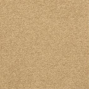 Casual Texture Ancestral Beige/Tan Carpet