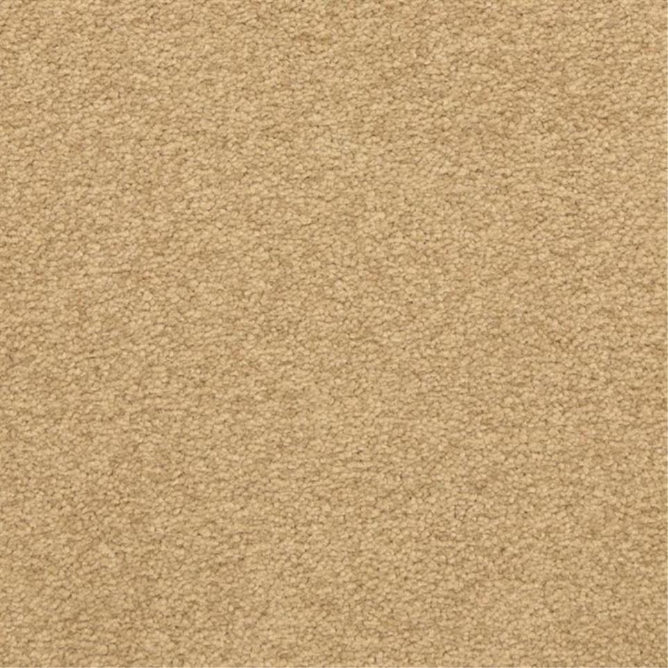 Casual Texture Ancestral Beige/Tan Carpet