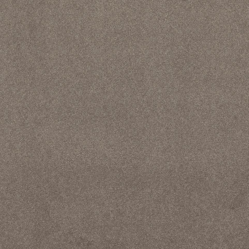 Texture Suntan Beige/Tan Carpet