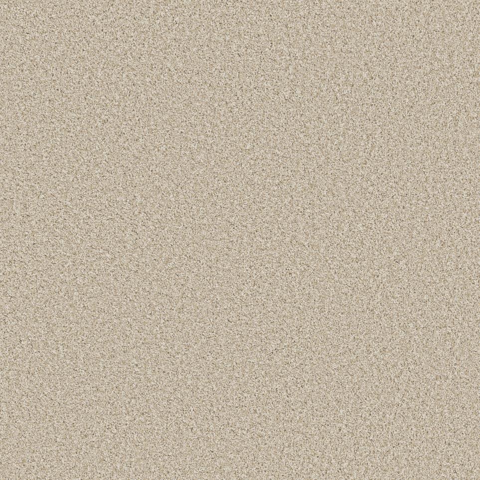 Textured Saxony Salt Air Beige/Tan Carpet