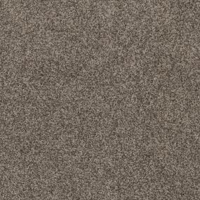 Casual Texture Rodeo Brown Carpet