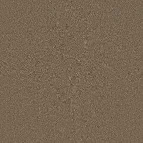 Textured Saxony Spice Blend Beige/Tan Carpet