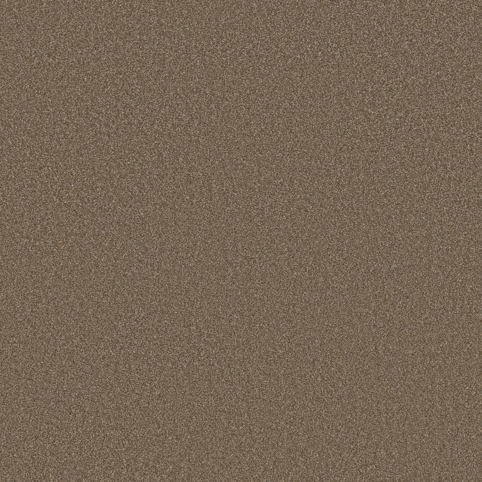 Textured Saxony Spice Blend Beige/Tan Carpet