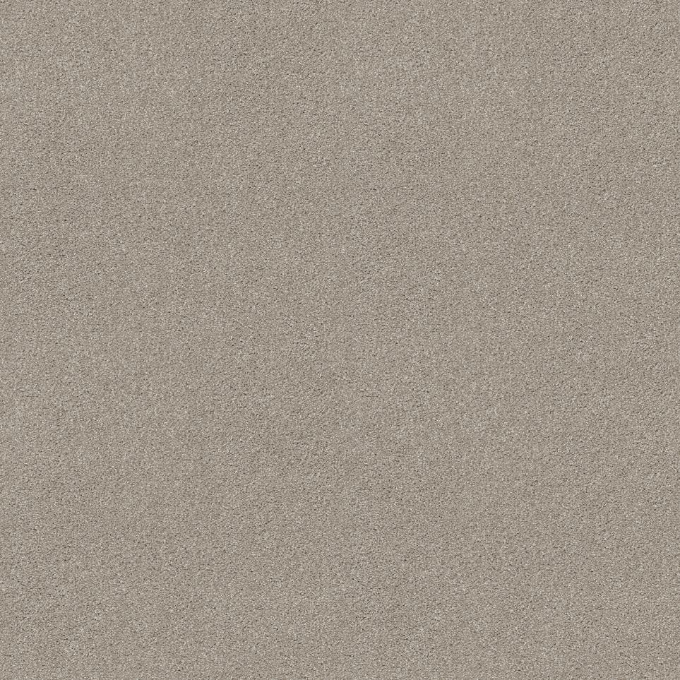 Plush Heavy Frost Beige/Tan Carpet