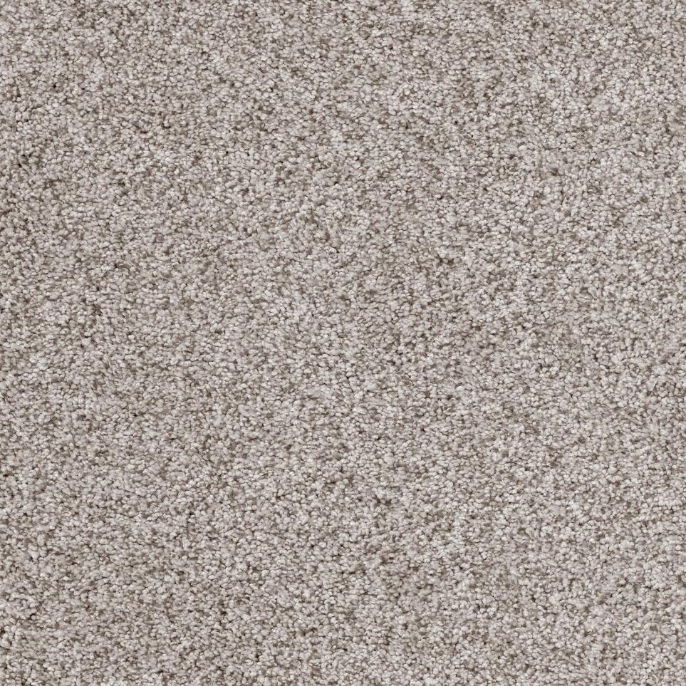 Plush London Fog Gray Carpet