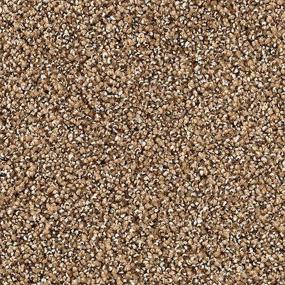 Textured Saxony Cattail Beige/Tan Carpet