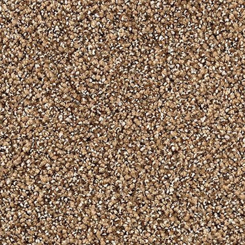 Textured Saxony Cattail Beige/Tan Carpet