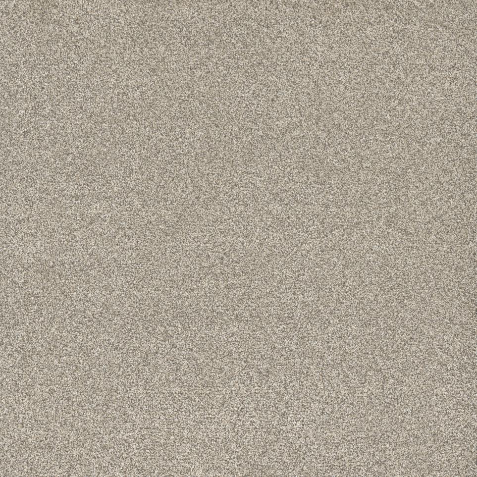 Textured Saxony Birch Gray Carpet