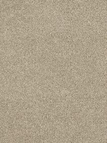 Textured Saxony Fame Beige/Tan Carpet