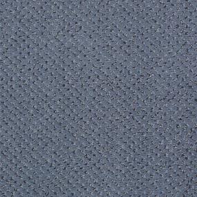 Pattern Baby Blue Blue Carpet