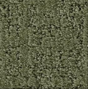 Pattern Juniper Green Carpet