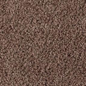 Textured Saxony Lyrical Brown Carpet