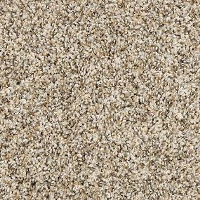 Textured Saxony Crystalized Beige/Tan Carpet