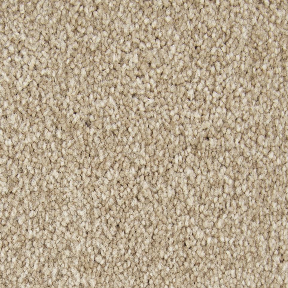 Texture Ancient Treasure Beige/Tan Carpet