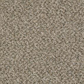 Textured Saxony Casual Living Brown Carpet