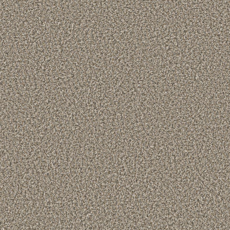 Texture Casual Living Brown Carpet
