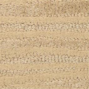 Pattern Desert Beige/Tan Carpet