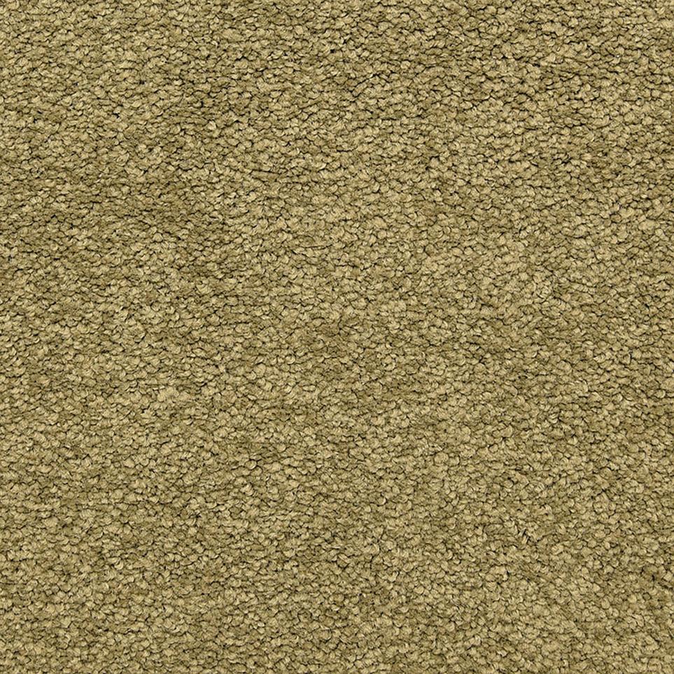 Texture Motif Green Carpet