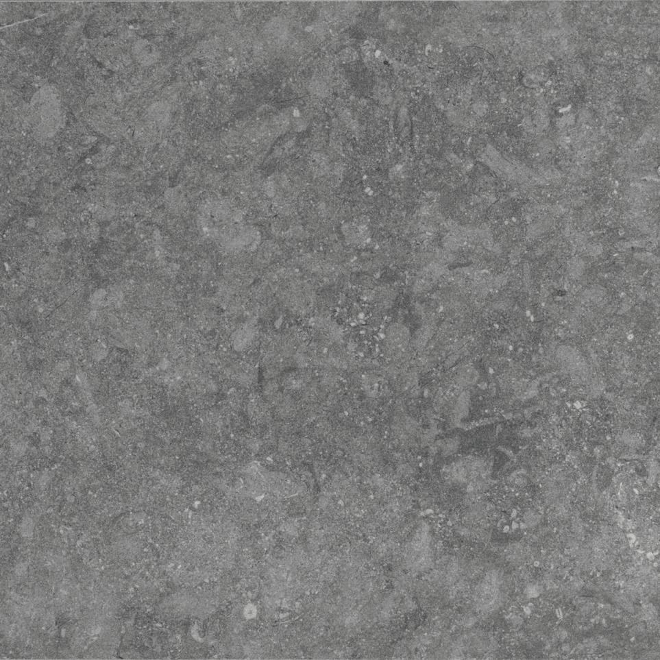 Tile Light Grey Matte Gray Tile
