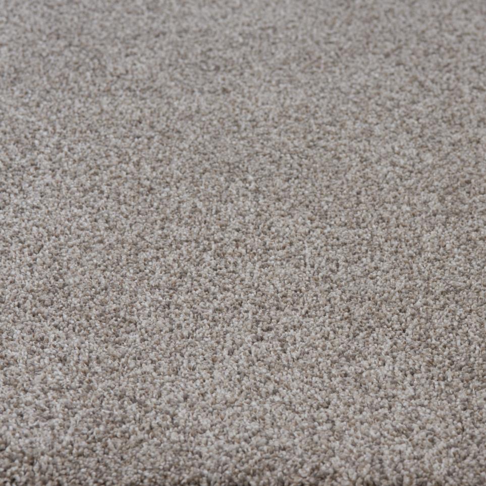 Textured Saxony Brookside Gray Carpet
