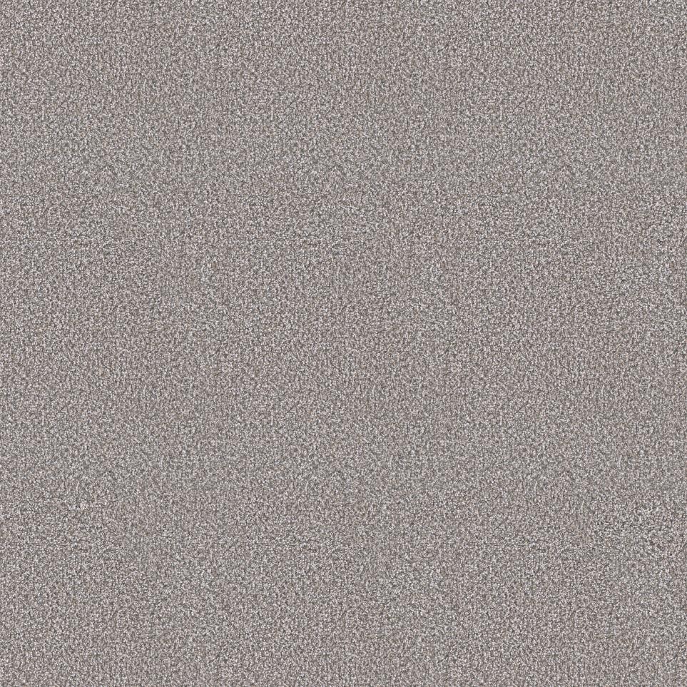 Texture Brookside Gray Carpet