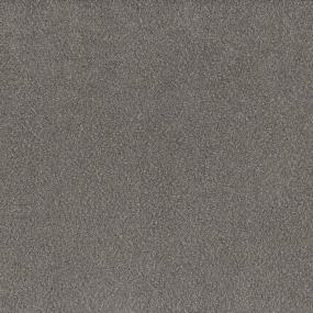 Textured Saxony NIGHTSHADE Beige/Tan Carpet