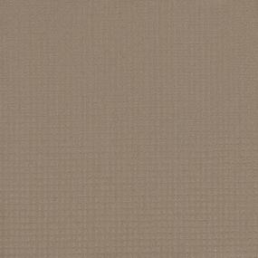 Pattern Devonshire Beige/Tan Carpet