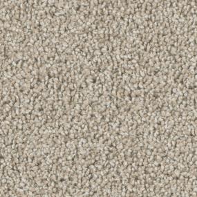 Textured Saxony Mocha Beige/Tan Carpet