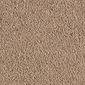 Textured Saxony Whole Grain Brown Carpet
