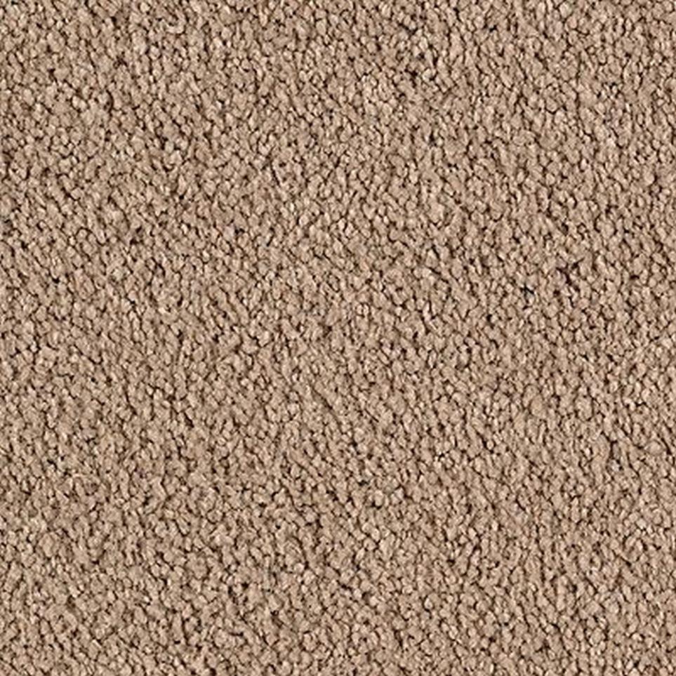 Textured Saxony Whole Grain Brown Carpet