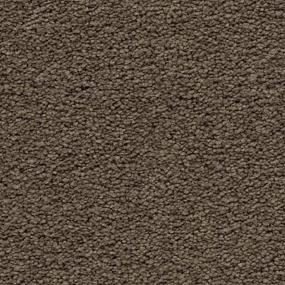 Textured Saxony Eagle Rock Brown Carpet