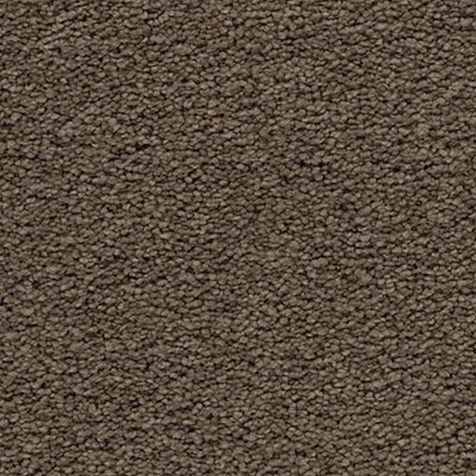 Textured Saxony Eagle Rock Brown Carpet