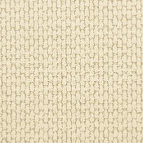 Loop Palazzo Beige/Tan Carpet