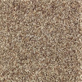 Textured Saxony Ancestral Haze Beige/Tan Carpet