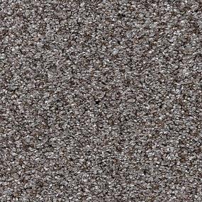 Pattern Frosted Almond Beige/Tan Carpet