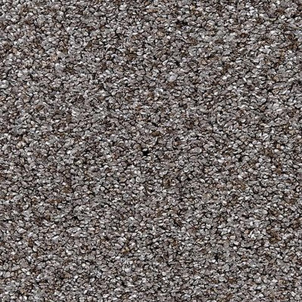 Pattern Frosted Almond Beige/Tan Carpet